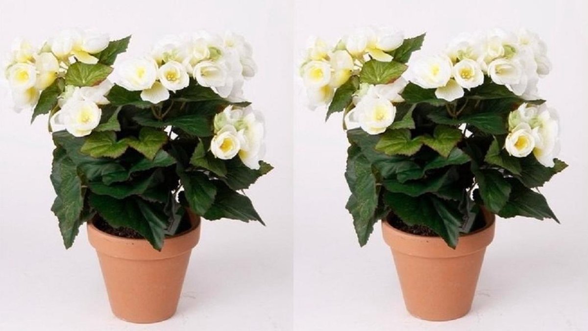 Kunstmatige Eucalyptusplant 36cm - Nep Plant In Witte Pot, Realistisch Design Voor Binnen Decoratie