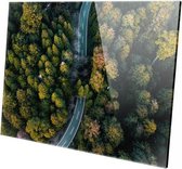 Snelweg door het bos | 150 x 100 CM | Wanddecoratie | Natuur  | Plexiglas | Schilderij op plexiglas
