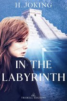 In the labyrinth
