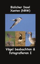 Vögel beobachten & fotografieren 1 - Bislicher Insel - Xanten (NRW)