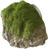 Auqa Della Moss stone with suction cup S - 12x9,5x10,5CM