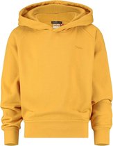 Hoodie Basic