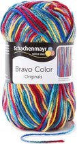 Schachenmayr Bravo Color 50 Gram - 80