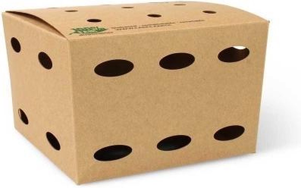50 st. 50st. Kartonnen Frietboxen - Medium