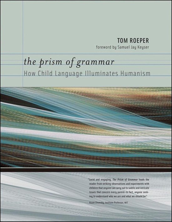 The Prism of Grammar - cover