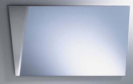 Oppervlakte Grappig Authenticatie Swallow spiegel 90x60cm | bol.com