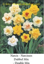 narcis dubbel mix 30 bollen maat 15/17