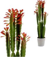 Cactus Ibergarden Plastic (18 x 98 x 18 cm)