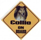 Autobordje Collie