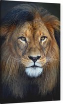 Leeuw koning jungle - Foto op Canvas - 60 x 90 cm