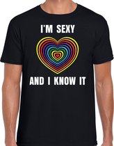 Regenboog hart Sexy and I Know It gay pride / parade zwart t-shirt voor heren - LHBT evenement shirts kleding 2XL