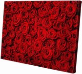 roses rouges | 150 x 100 cm | Nature | Peinture | Tissu en toile | Peinture sur toile