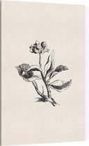 Eiloof zwart-wit (Ivy Berries) - Foto op Canvas - 60 x 90 cm