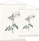 Witte Waterkers (Water Cress) - Foto op Textielposter - 60 x 90 cm