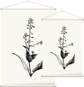 Groot Heksenkruid zwart-wit (Enchanters Nightshade) - Foto op Textielposter - 120 x 180 cm