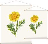 Gekroonde Ganzenbloem (Garland Daisy) - Foto op Textielposter - 45 x 60 cm