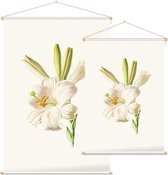 Madonnalelie (White Lily) - Foto op Textielposter - 120 x 180 cm