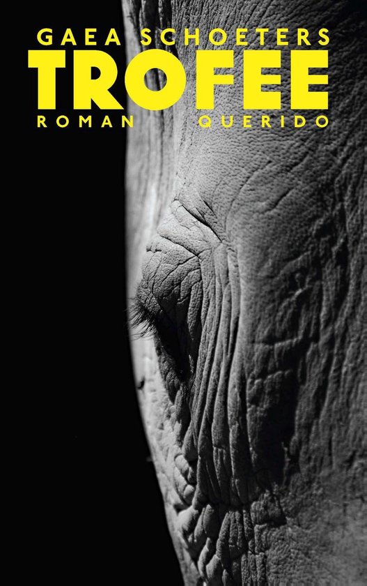 Close-up van de ooghoek van een olifant met tekst 'GAEA SCHOETERS TROFEE ROMAN QUERIDO'.