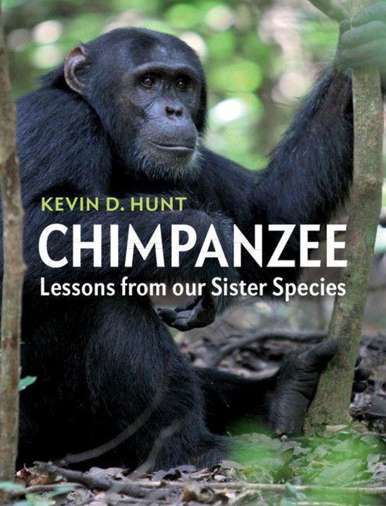 Chimpanzee - cover