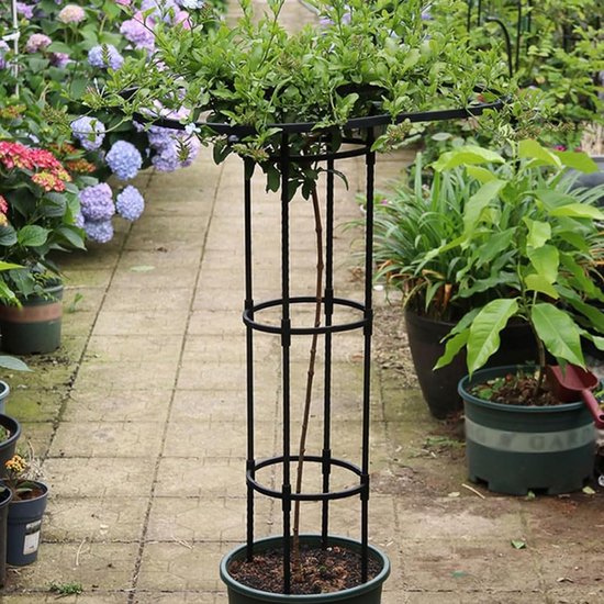 Zwarte plantenstandaard met groene bladeren en stambloemen, omringd door hortensia's en planten.
