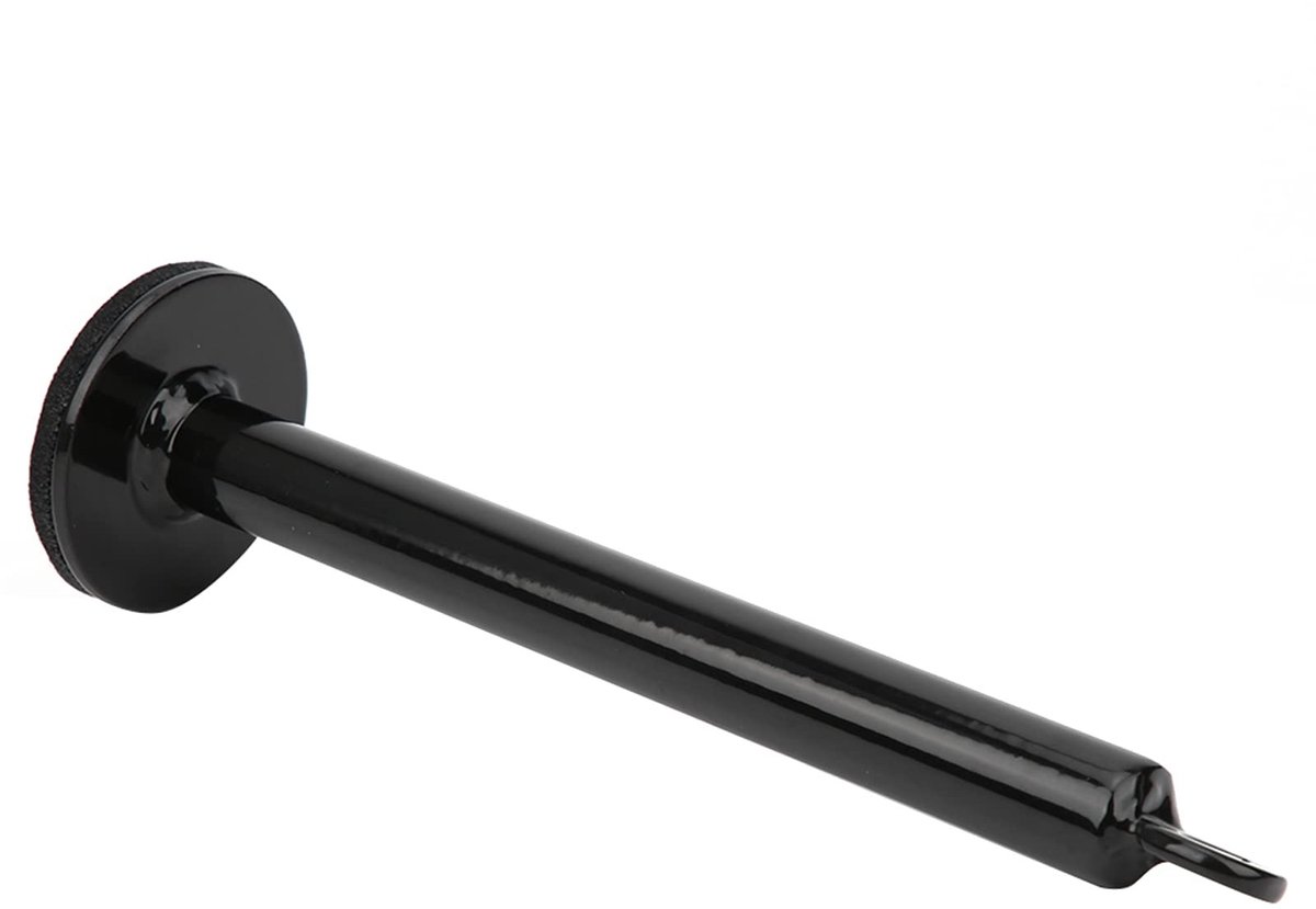 Dailygoody - Solidchoice - Dailygoody - Roestvrijstalen laadpen - Ondersteunend frame voor halters - Fitnessaccessoire met gewichtsplateau - 20 x 220 mm - Geschikt voor krachttr