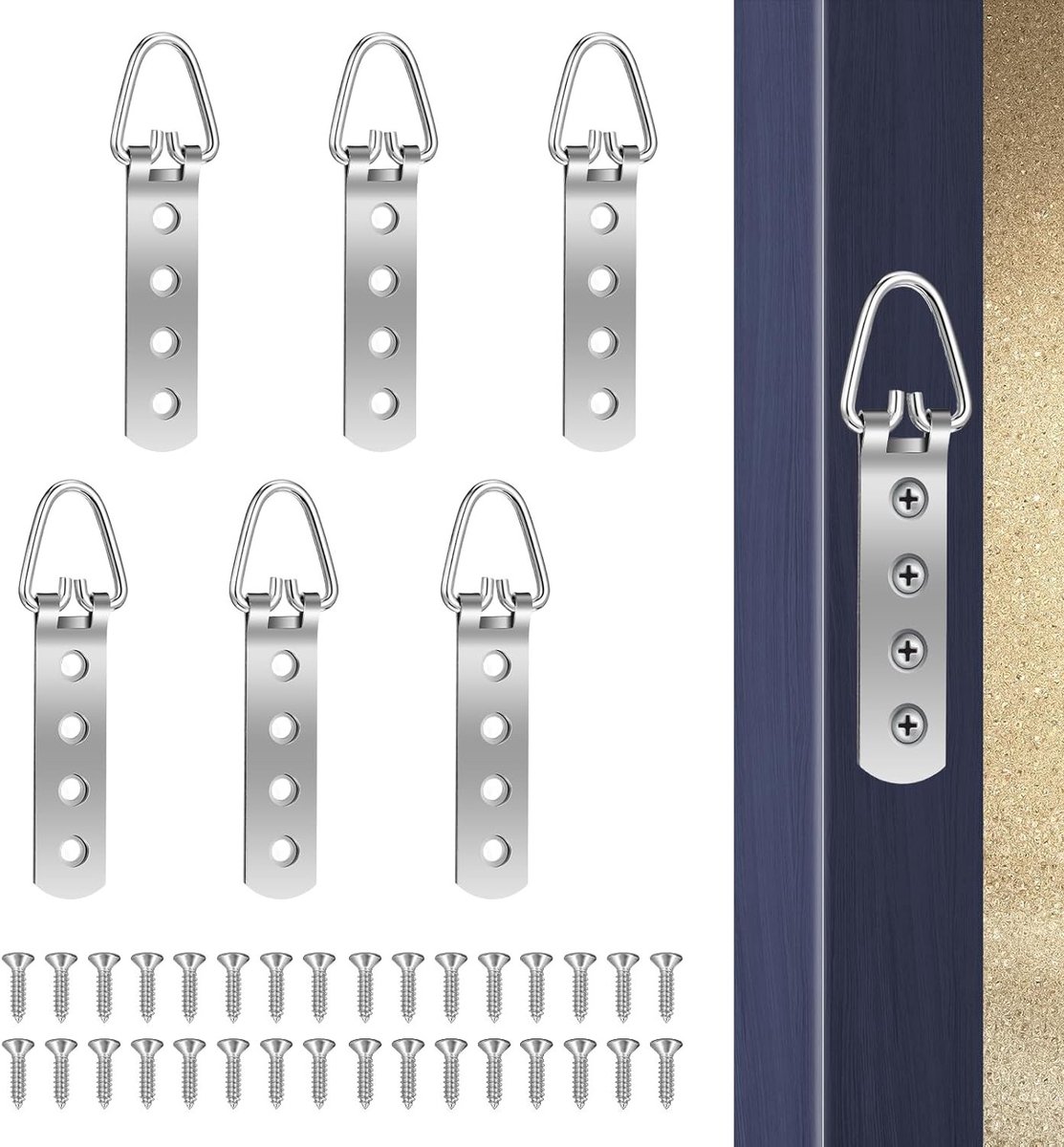 Zware Foto Hangers voor Kunstwerken, D Ring Hangers met 24 Schroeven en 4 Gaten, Robuuste Ophanghaak voor Spiegels en Kleding, Set van 6