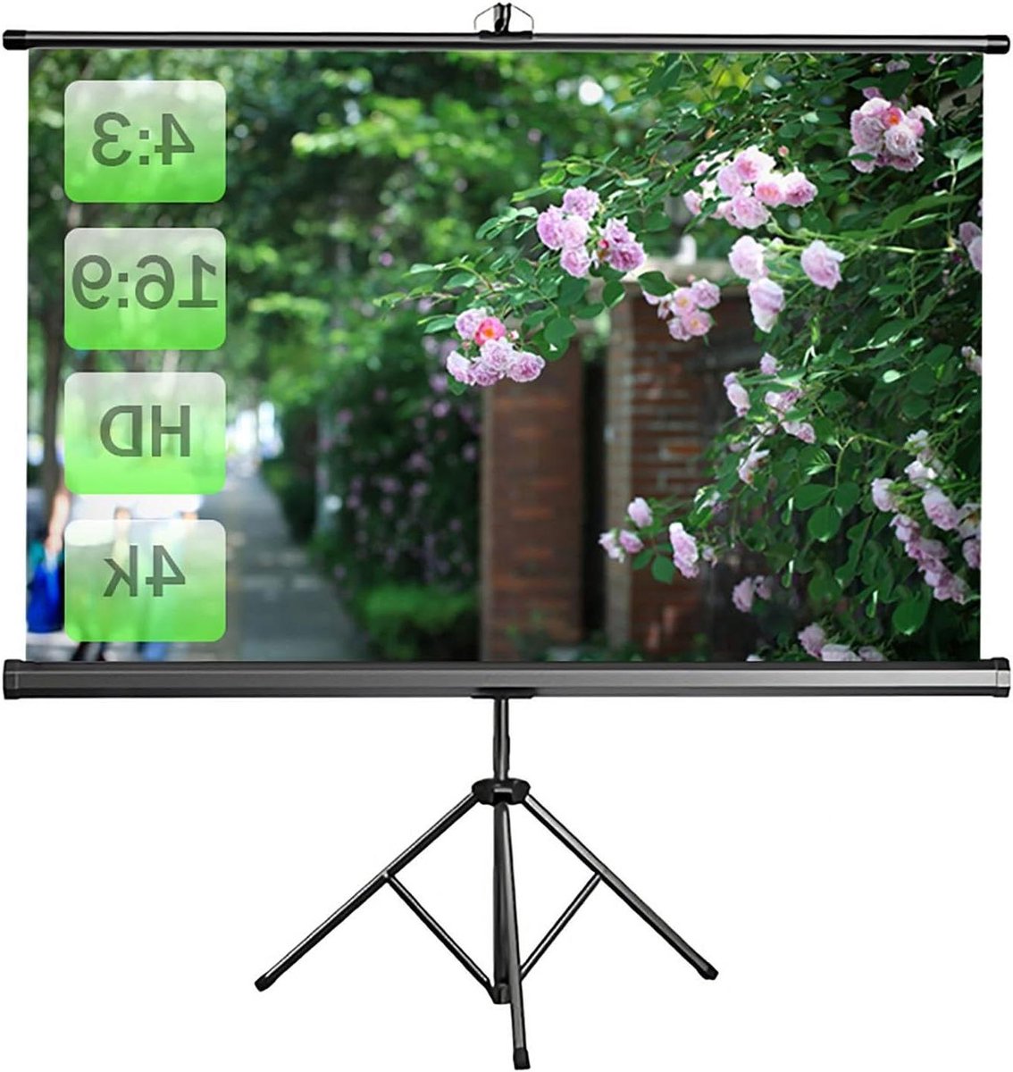 Projectiescherm met Statief - Draagbaar Beeldscherm - Home Cinema - Kreukvrij Oprolbaar - 60-120 inch - Wit