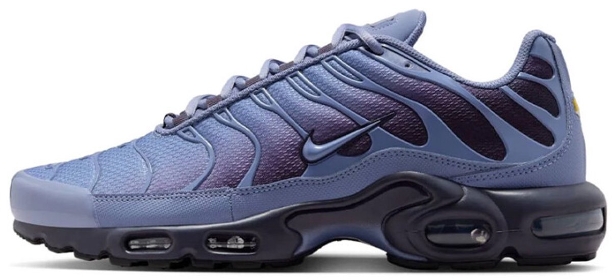 Nike Air Max Plus World Indigo Blauw