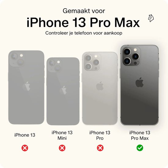 Vergelijking van iPhone 13 modellen met een groen vinkje bij iPhone 13 Pro Max.