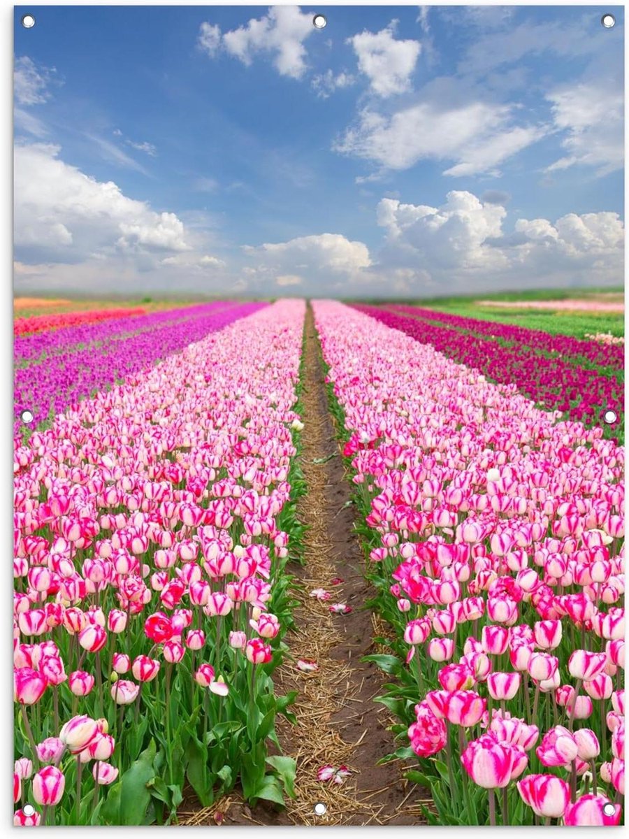 Tuinposter - Tuindoek Buiten - Tuin Decoratie - UV Bestendig - 90x120 cm - Veelkleurig