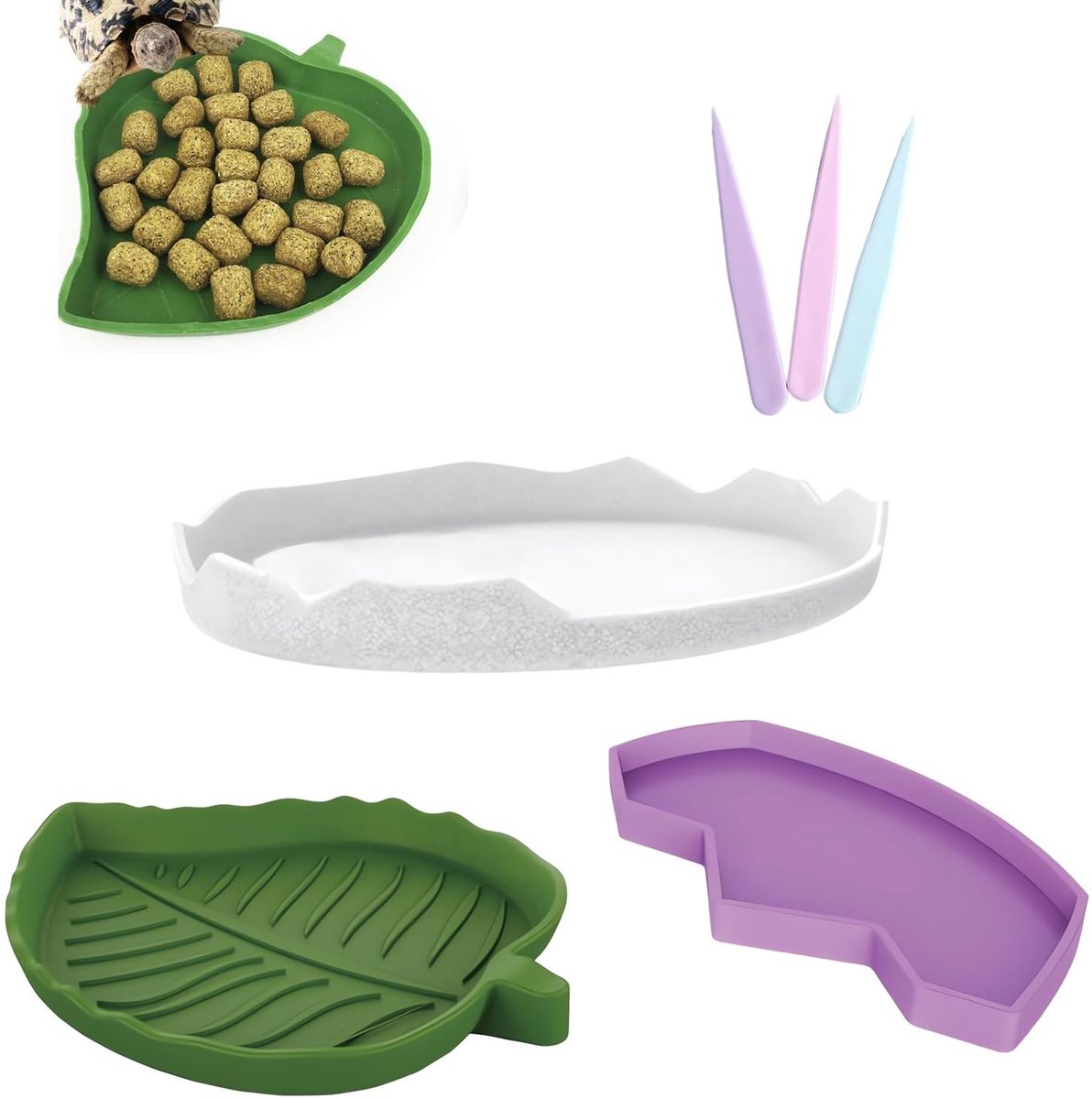 aladdien - Reptielen Voedsel- en Waterbak Set - 3-delig - Groen Wit Paars - Geschikt voor Schildpadden Hagedissen en Slangen - Ideaal voor Terrarium...