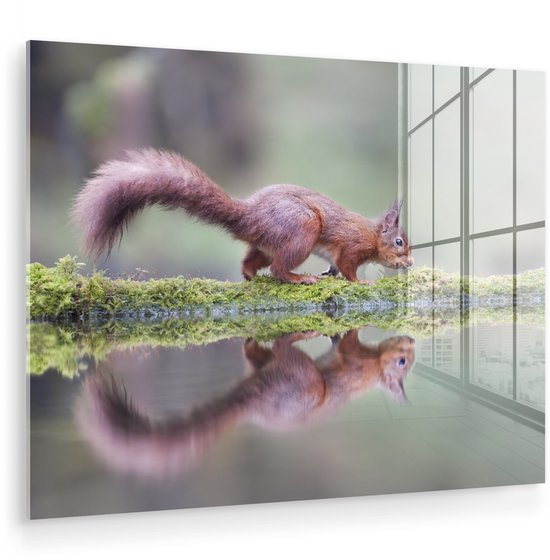 Peinture sur Verre - Écureuil - Mousse - Water - Reflet - 80x60 cm - Peintures sur Verre Acrylique - Photo sur Glas