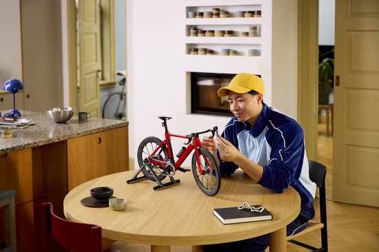 LEGO Icons Racefiets Voertuig Bouwpakket voor Volwassenen - 11380