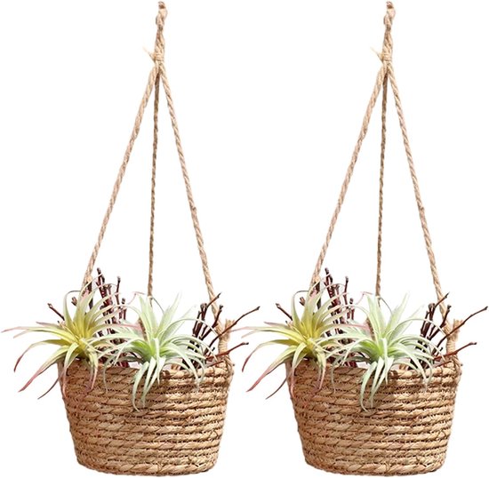 Twee rieten hangmanden met luchtplantjes en takjes.