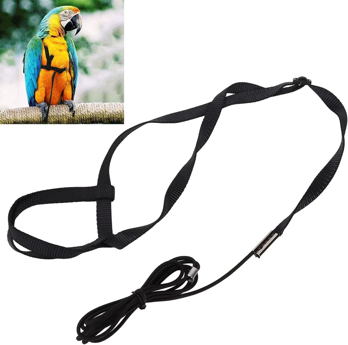 Verstelbare en Lichtgewicht Parrot Flying Rope voor Buitenactiviteiten en Feestjes (XL)