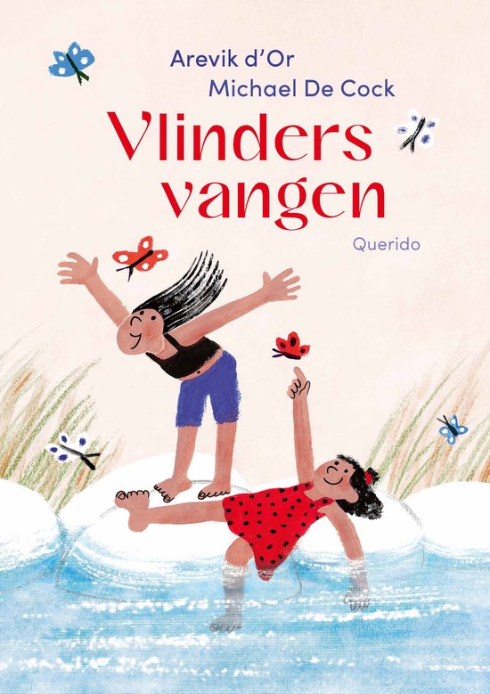 Vlinders vangen - cover