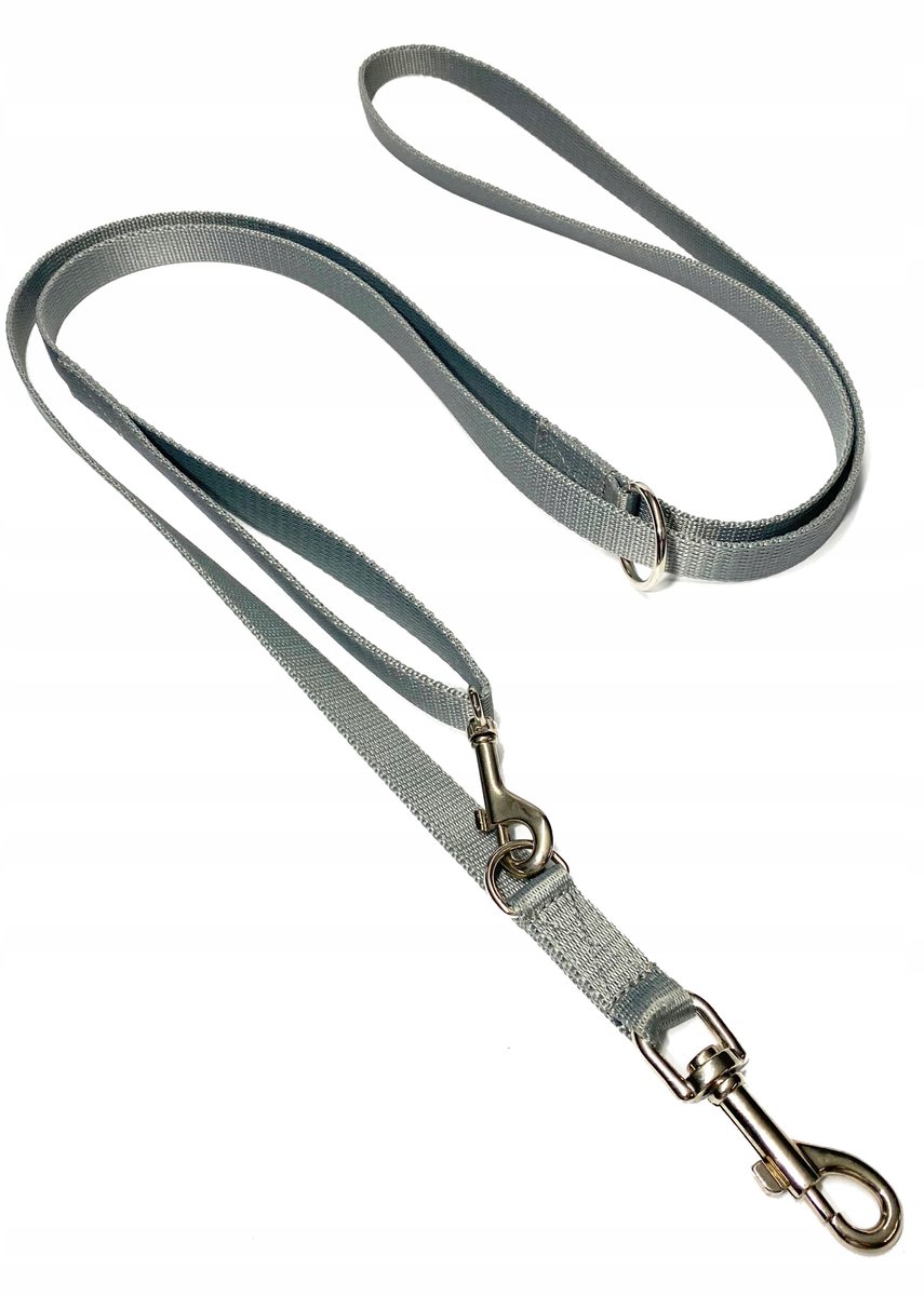 Verstelbare Hondenlijn 135-250cm, 20mm Breed, Grijs/Zilver