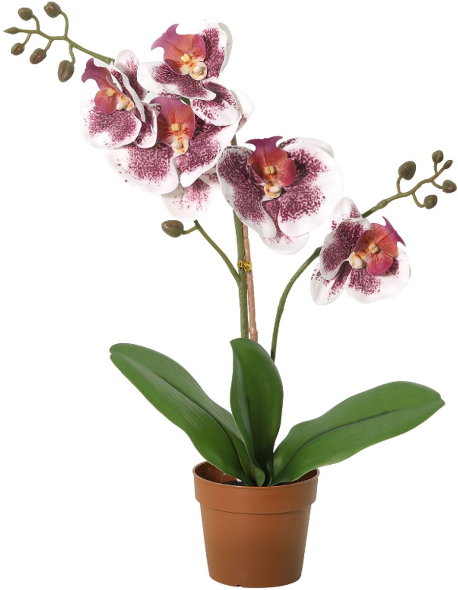 Trendyplants - Kunst Phalaenopsis Orchid Violet White - Paars Witte Orchidee - Kunstplant - Hoogte 41cm - Potmaat Ø9cm