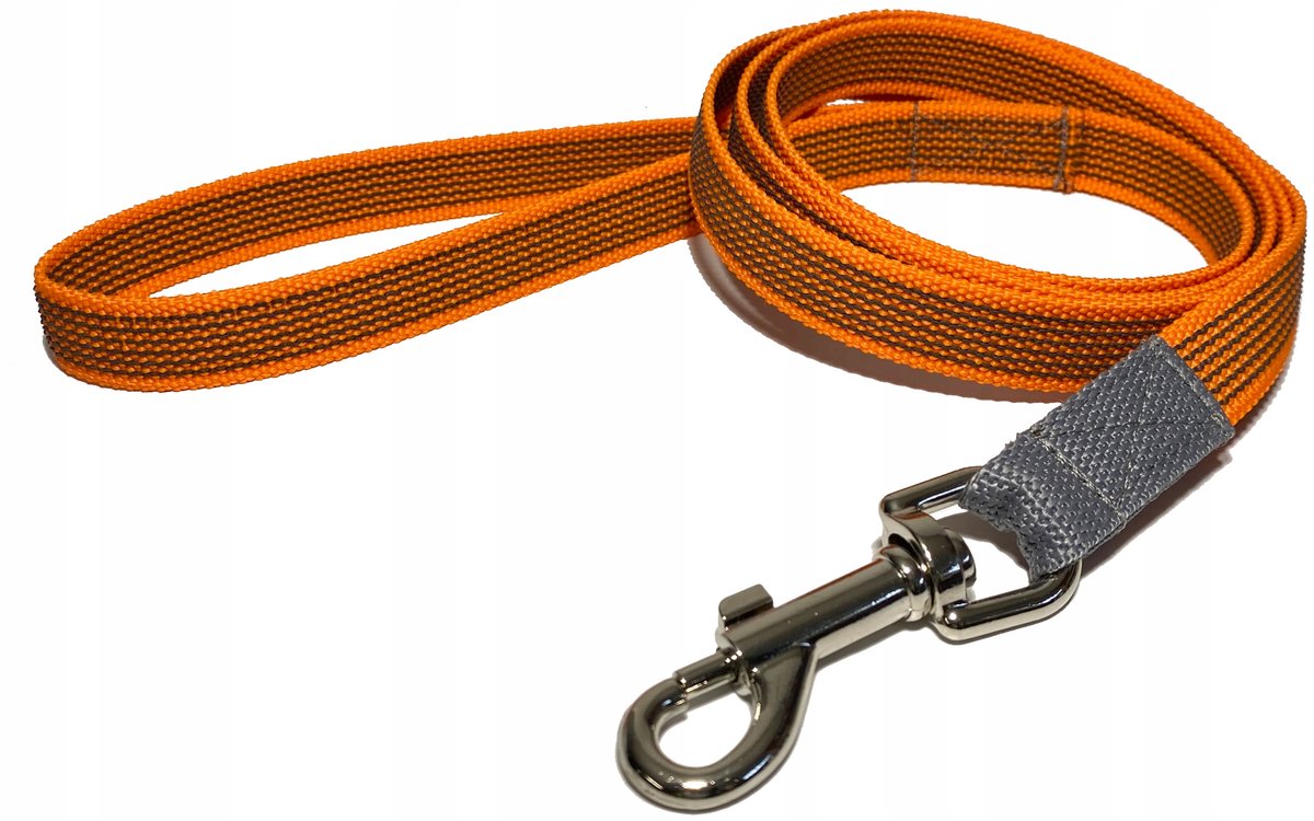 Sterke Hondenlijn met Rubberen Band - 1.5m x 20mm - Oranje