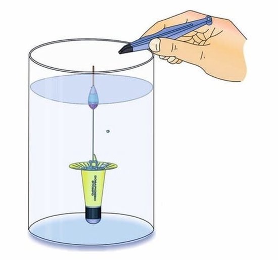 Stonfo Float Shotter - Pennenweegschaal - Maat : Mis 2 van Stonfo — afbeelding 2