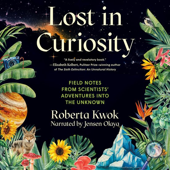 Lost in Curiosity - cover
