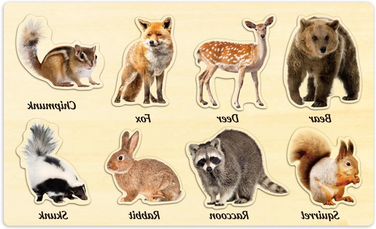 Houten Puzzel Bosdieren - Inlegpuzzel Peuters - Leren Dieren Herkennen - Gladde Randen Braamvrij - 33 x 20 cm