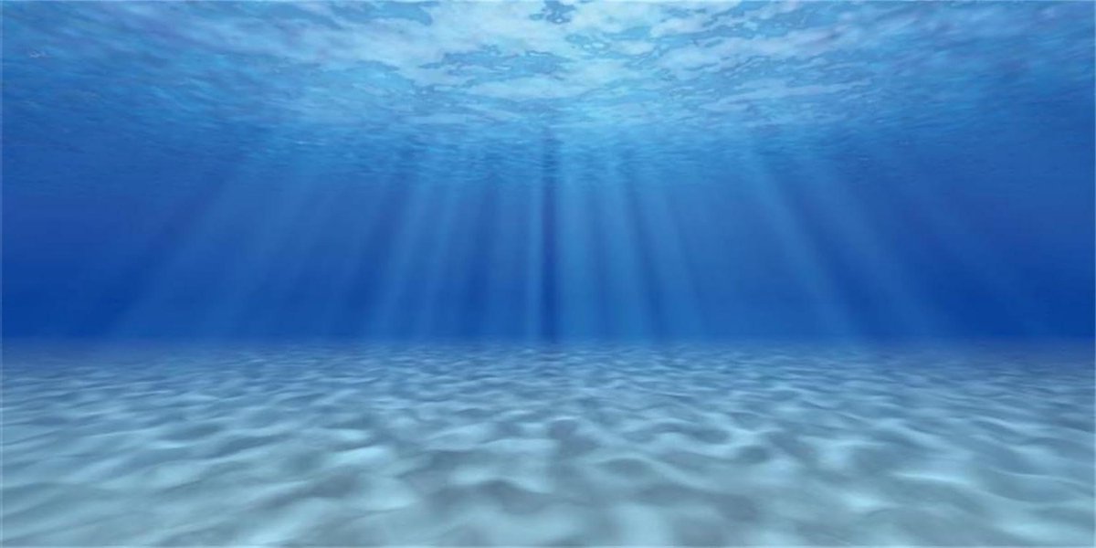 Aquarium Achtergrond - Vistank Decoratie - Onderwater Wereld Creëren - Levendige HD Beelden - 120x46 cm - Onderwater Thema