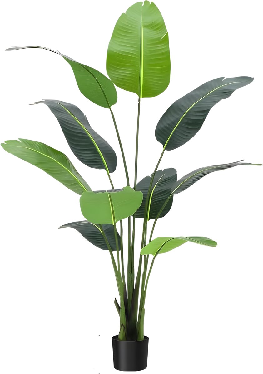 Happiq Kunstmatige Paradijsvogel Boom - Voor Binnen, Buiten & Kantoor - Tropische Faux Bananenblad Plant - 2 Stuks - Maat: Groen