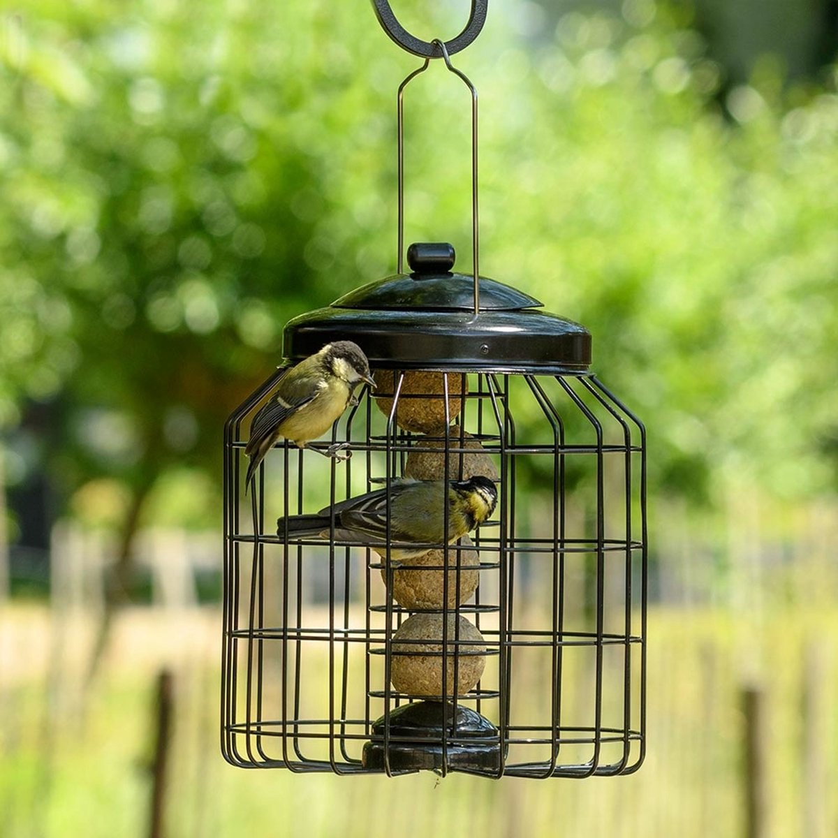 CJ Wildlife Vetbolhouder voor Vogels - Mezenbolhouder met Beschermkooi - Brussel - Veilig eten voor Kleine Tuinvogels - Voor 4 vetbollen