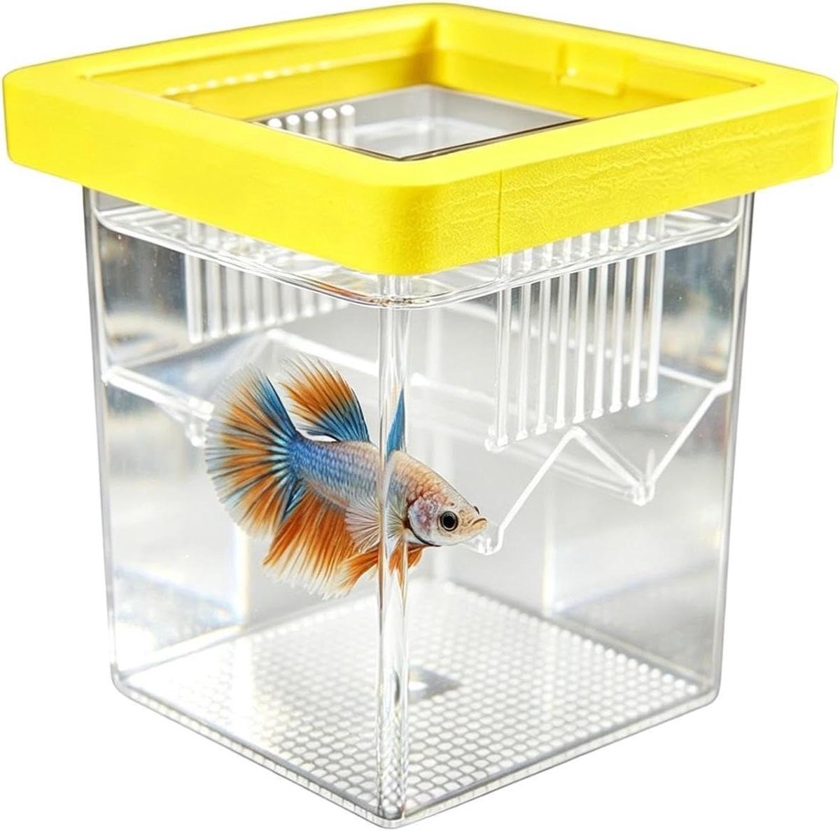 Vis Kweekbox Aquarium - Broedincubator Drijvend - Vissen Verzorgen - Verstelbare Scheidingswand - 86 x 86 x 11 cm - Geel