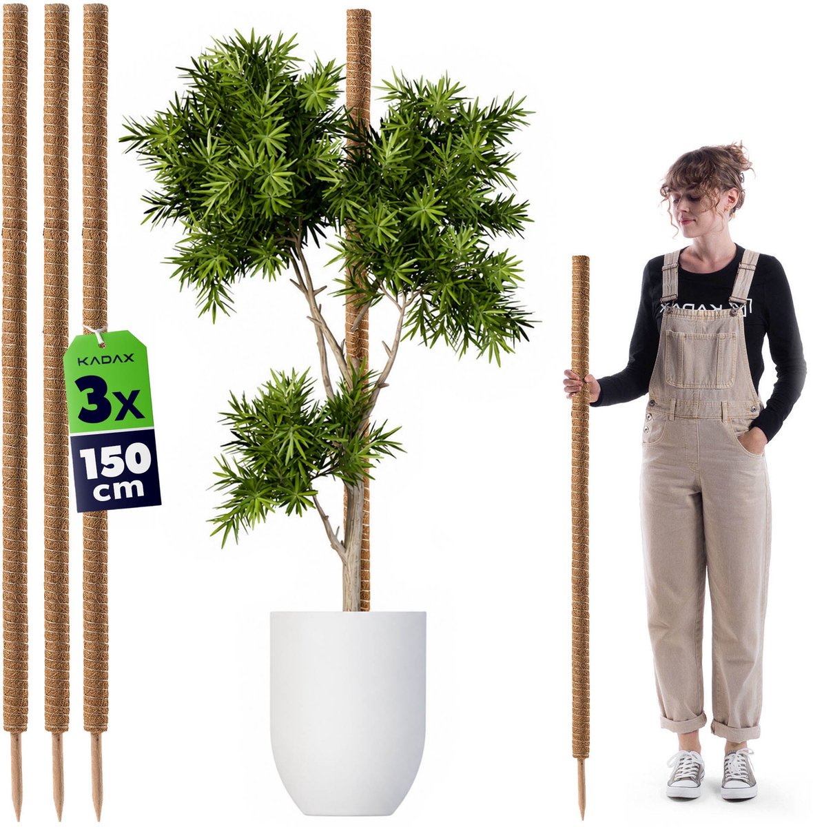 KADAX kokosstick 150cm voor kamerplanten, 3 stuks, plantenstick van kokosvezel voor veilige ondersteuning van planten, mosstick voor klimplanten, monstera klimhulp, plantenstick