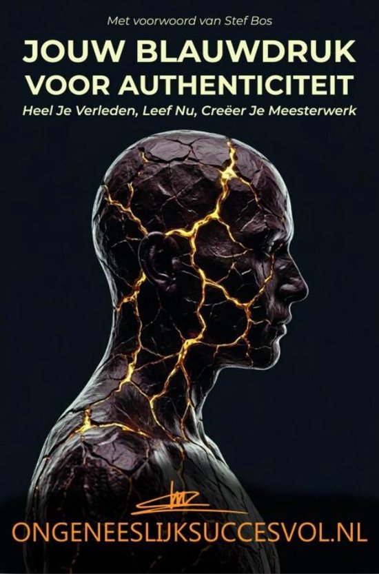 OngeneeslijkSuccesvol - cover