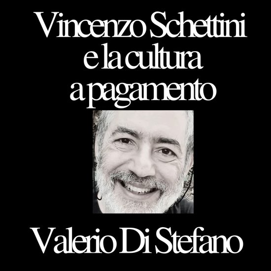Vincenzo Schettini e LA cultura a pagamento - cover
