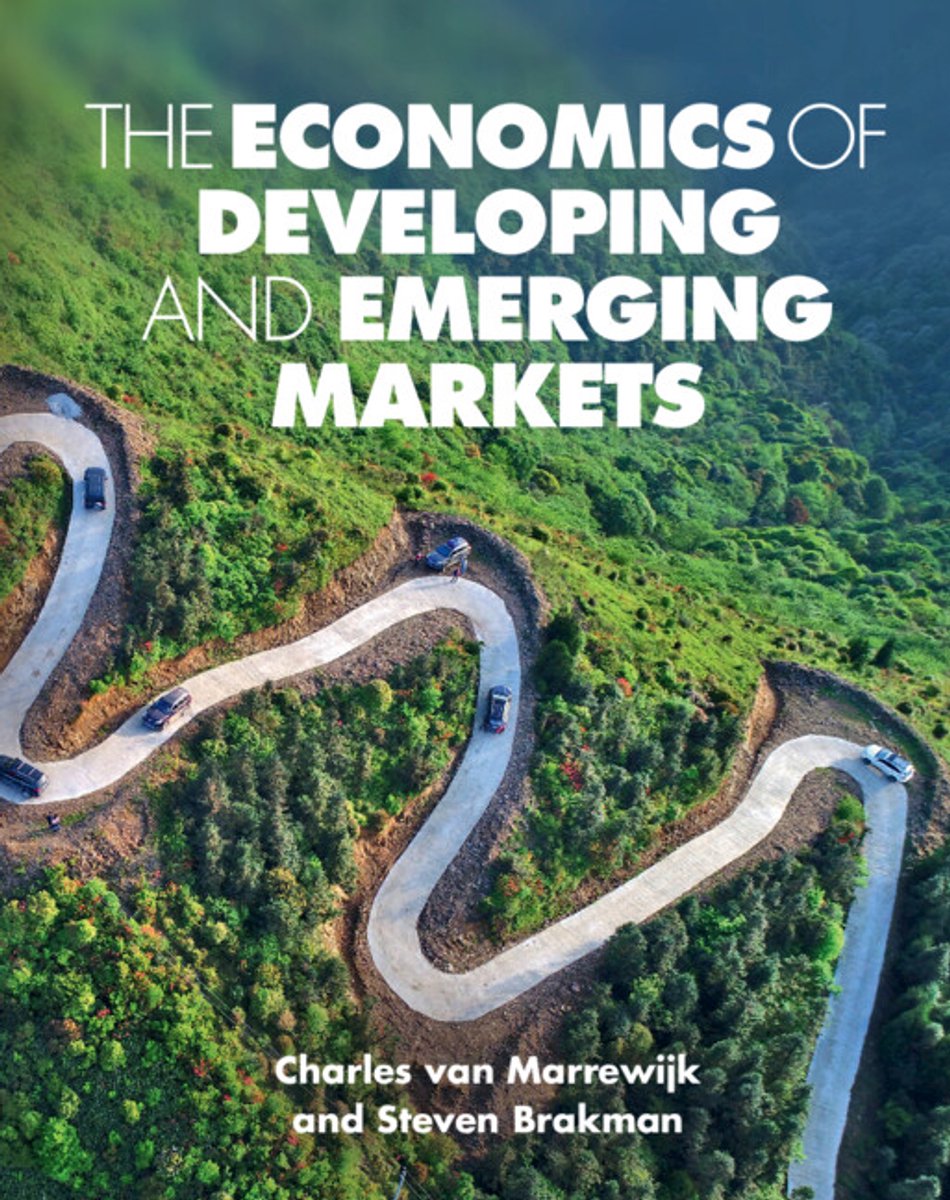 The Economics Of Developing And Emerging Markets